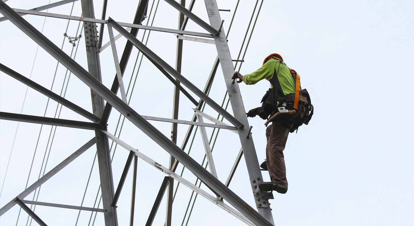 Weiss Insurance Agency Weiss Insurance Agency